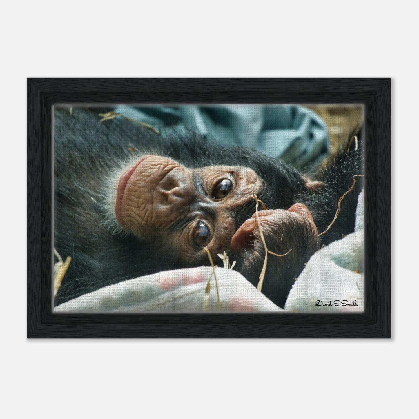 eb507c66-f2a2-46fc-98ec-a2a743be91af