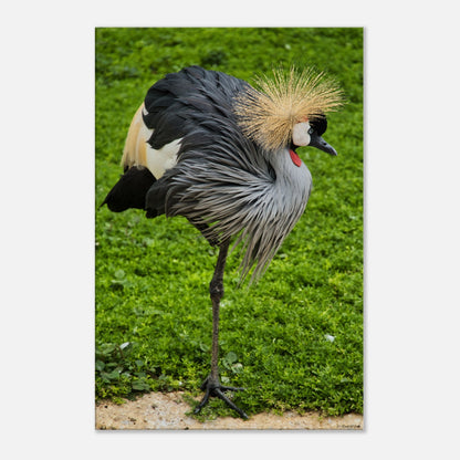 ec0b3e41-6a09-4ce0-8114-b21dc2cf77a4