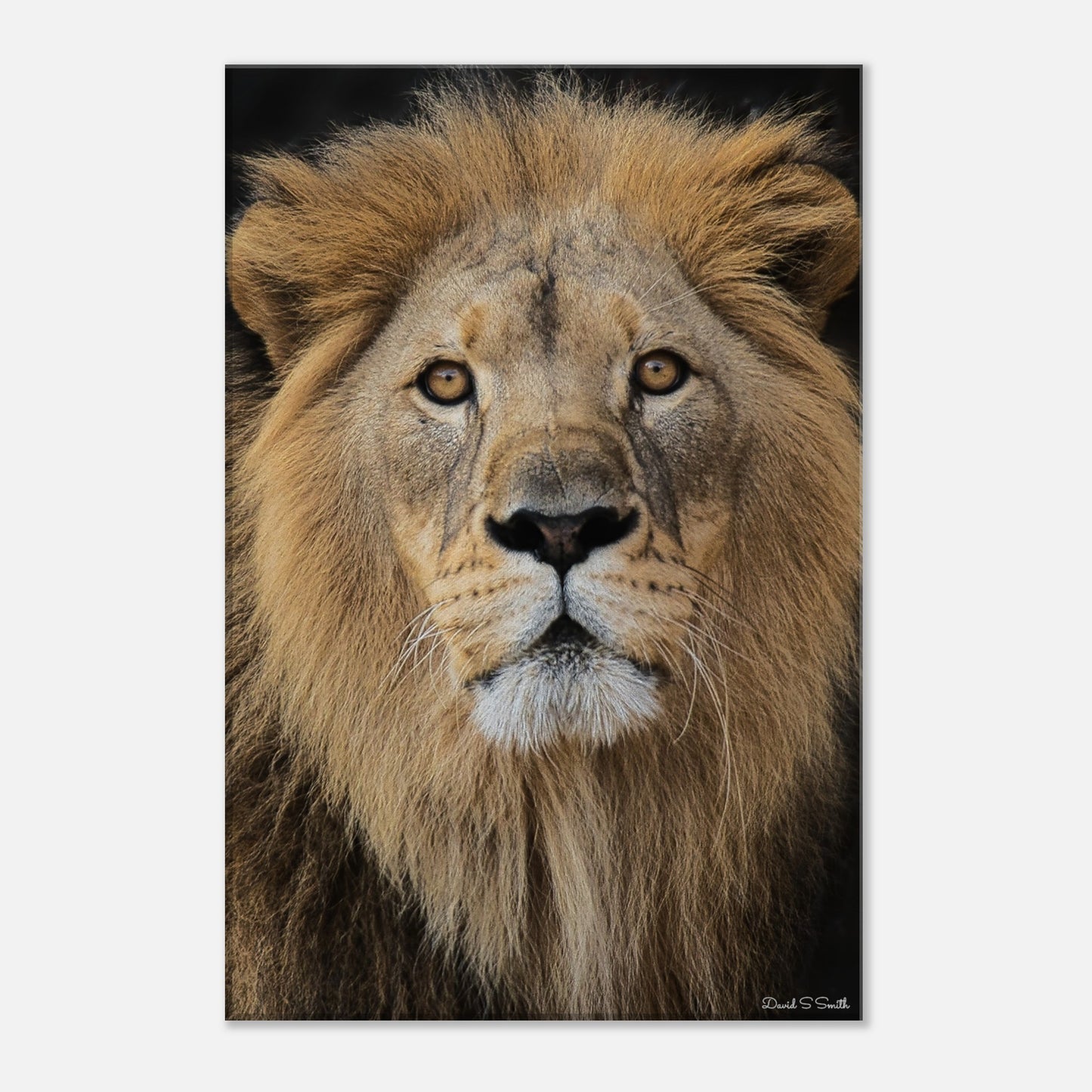 ecc31b33-c45d-47fe-beae-928e6597bd9f