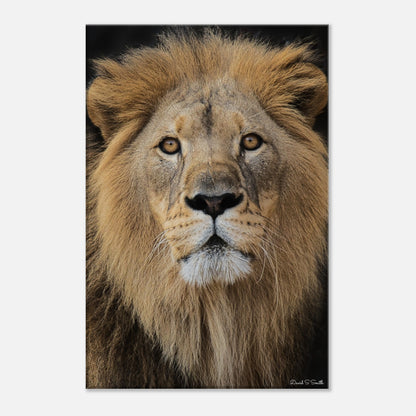 ecc31b33-c45d-47fe-beae-928e6597bd9f