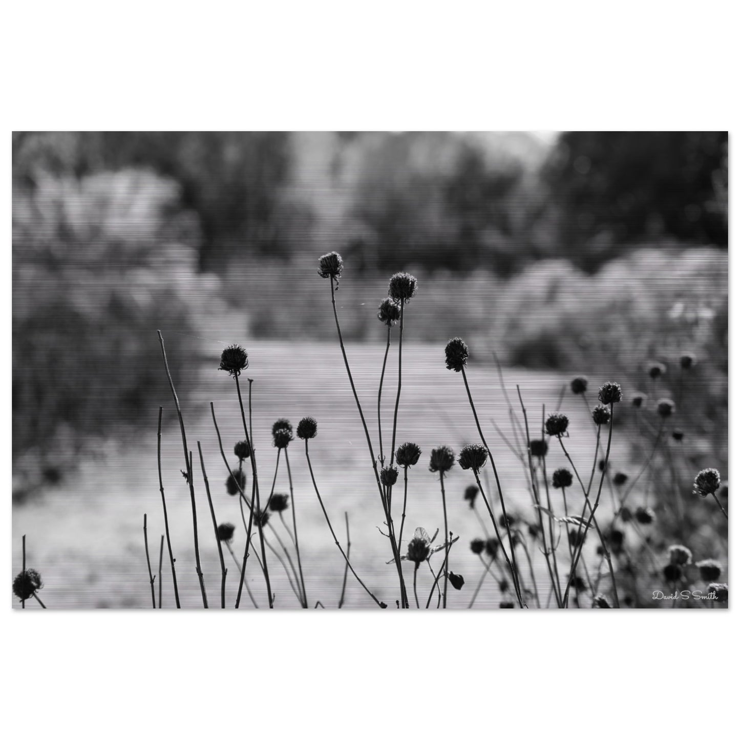 ed1314f5-32e6-4c6c-b2fc-81348761e9dd