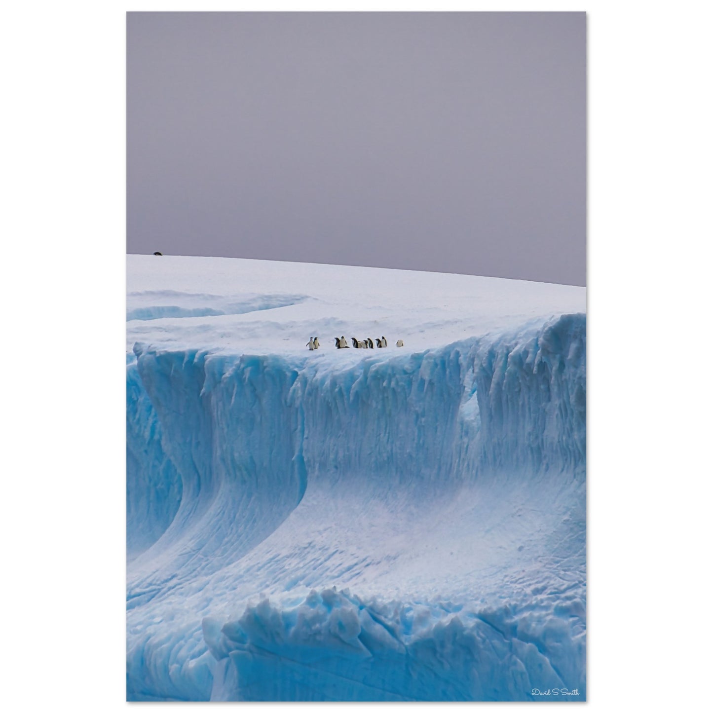 ee1d7c60-8ee7-4fa0-95b2-409ec0d55445