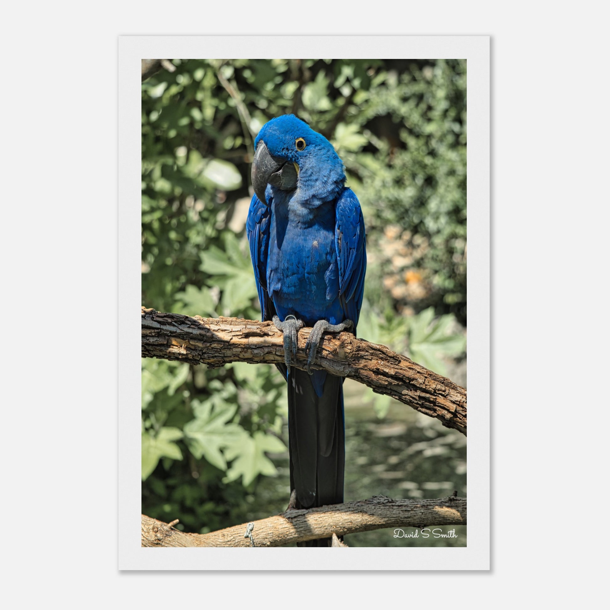 eed2c1a9-e93a-4a36-bcf4-efe468b3b64c