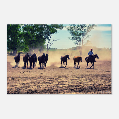 eee9cb6f-542c-435f-91bd-09ead9a99909