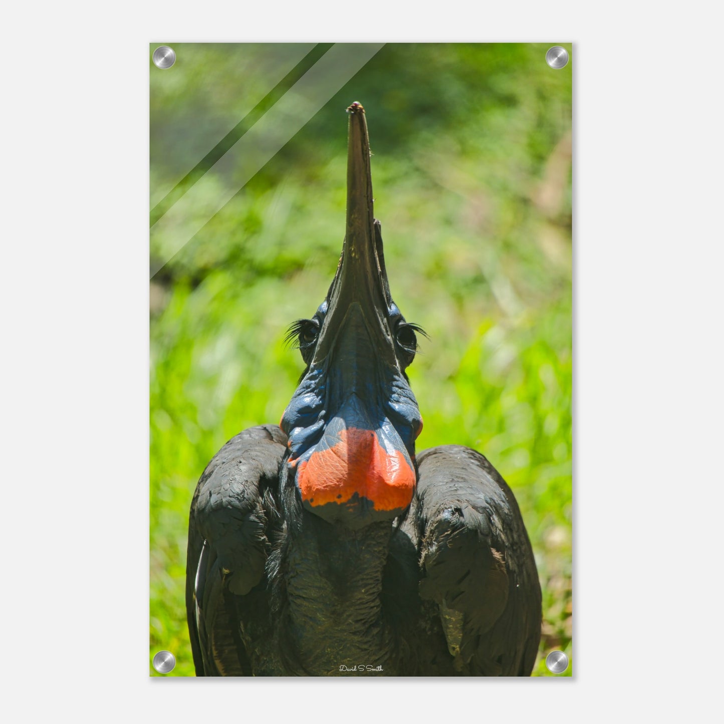 ef5b988c-5b56-44c5-b2b1-4cd66f37832d