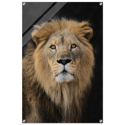 efa2d3ef-4dc9-4ac3-8159-891687ab28b7