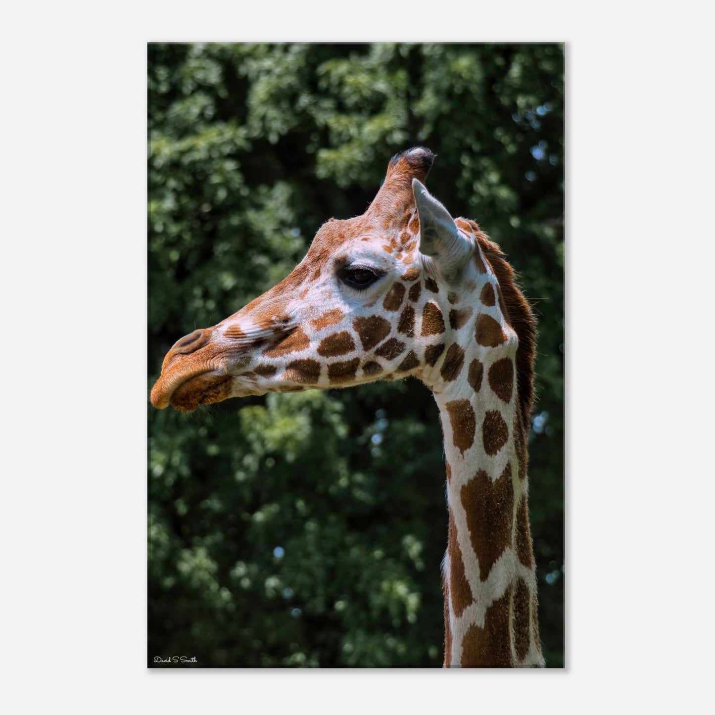 efaa7151-d609-421d-83c6-f5f13d7d303d