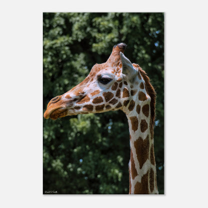 efaa7151-d609-421d-83c6-f5f13d7d303d