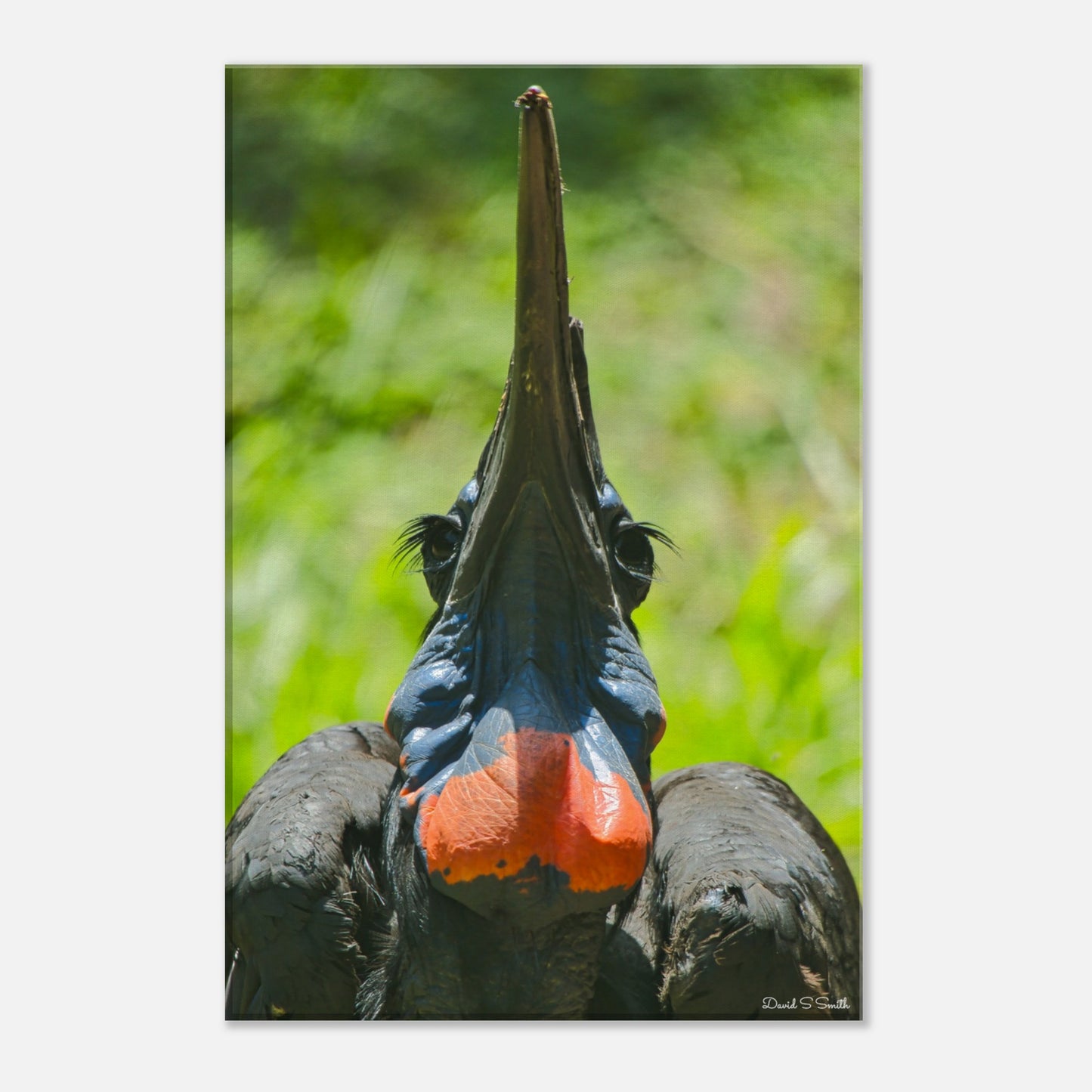 f0d4f8bd-fcef-45e0-80ee-4a183a14ae1c