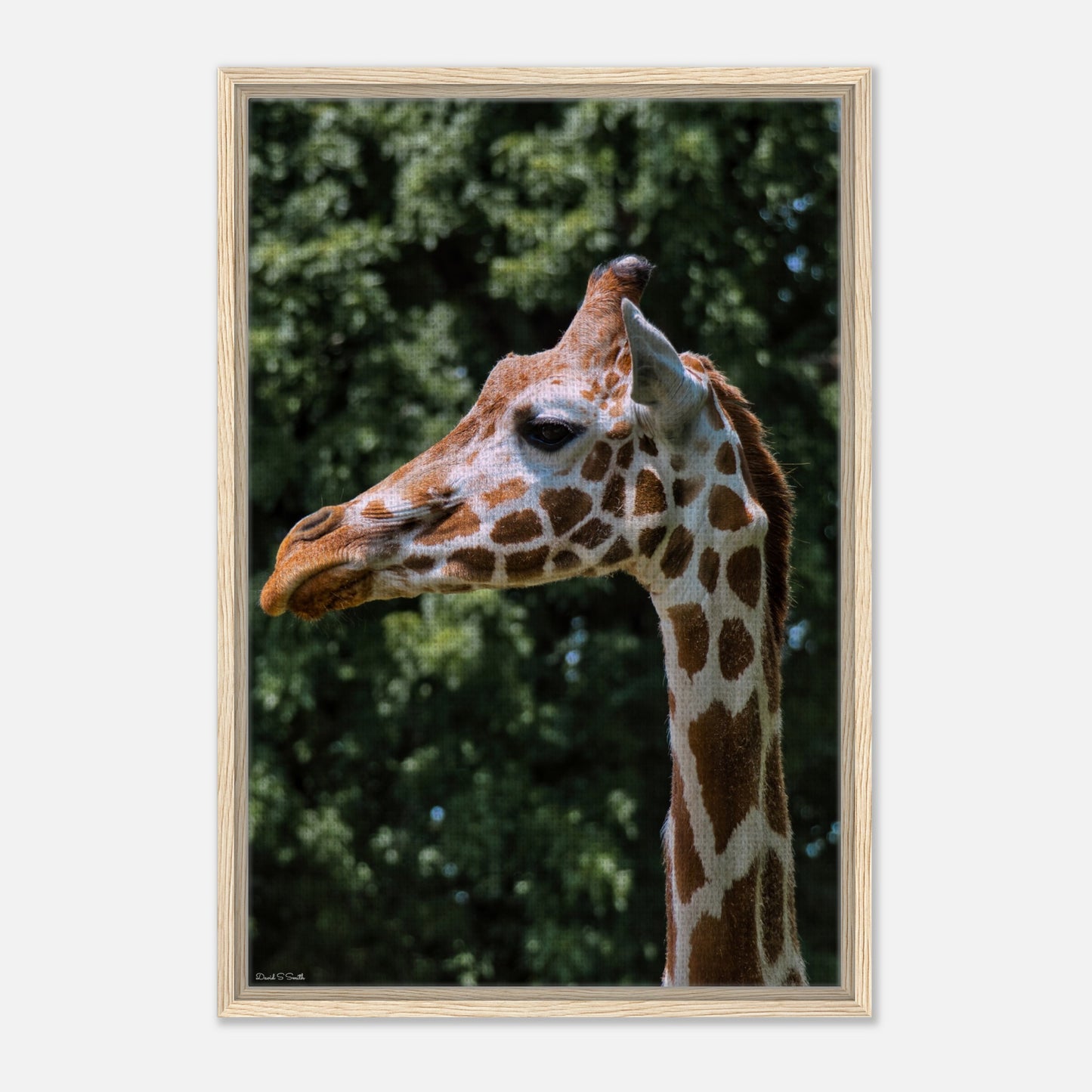 f1075d78-bdaf-4bde-8ebc-7596d0a1ec84