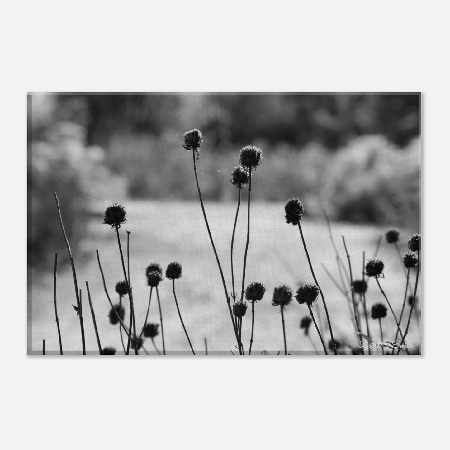 f171f5b5-bb75-452a-b8bb-5a01dc5230f7