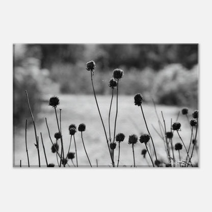 f171f5b5-bb75-452a-b8bb-5a01dc5230f7