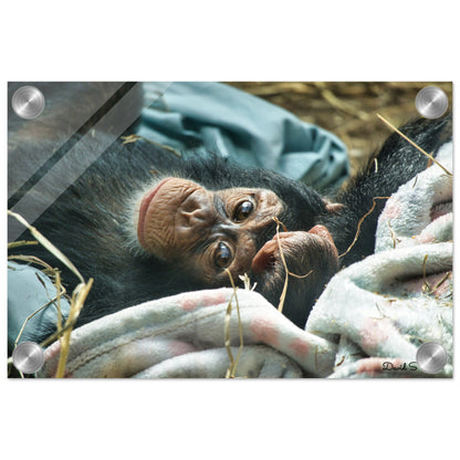 f1ad07b9-e9e3-4990-9fc9-92b823dfd92c