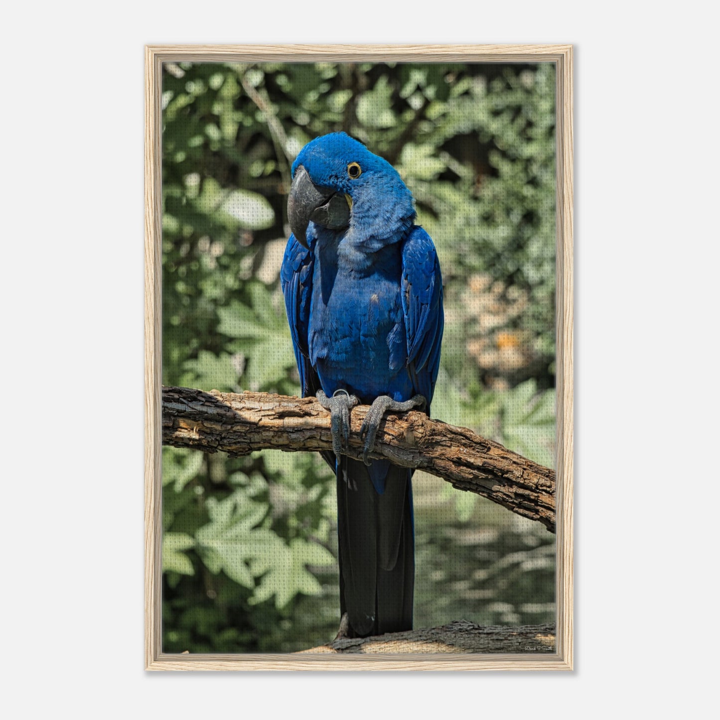 f1fc0b5a-c94f-4c18-9317-de39def773e1