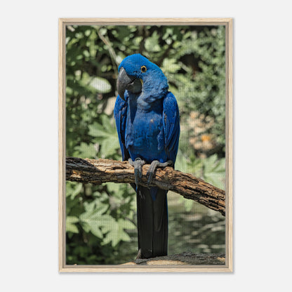 f1fc0b5a-c94f-4c18-9317-de39def773e1