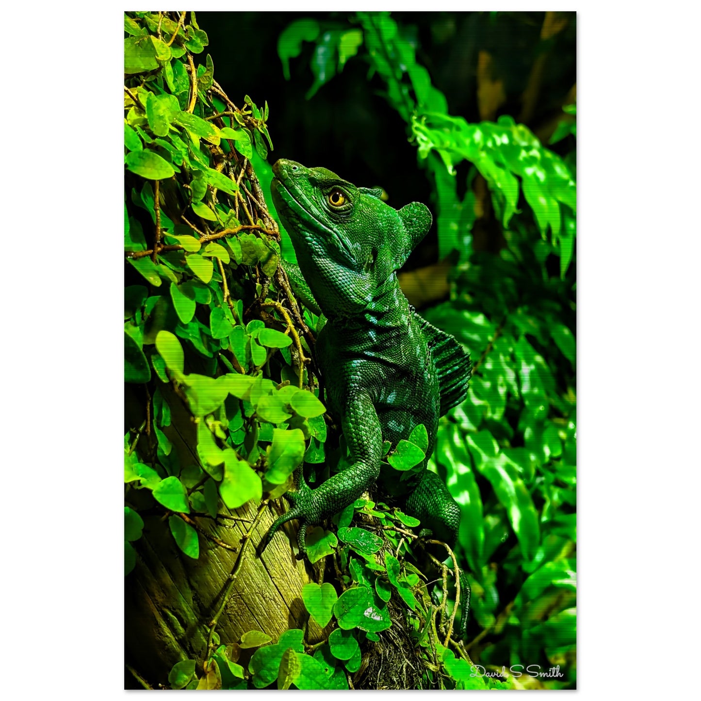 f2b26835-b1a0-4395-b3f8-fb3ae4580249