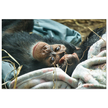 f40e1a8c-1b8e-4355-9663-a33240c0dacd