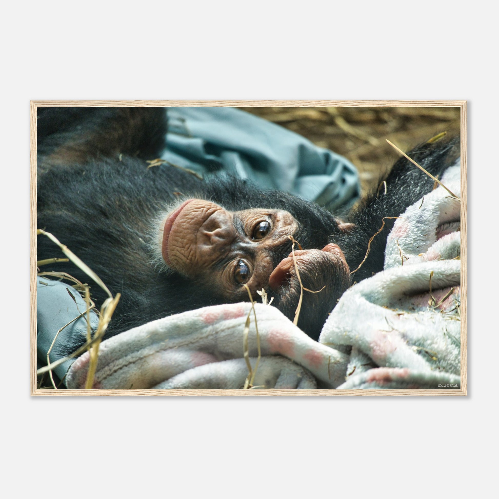 f48041ef-c711-4a54-bc68-54f1548866a5