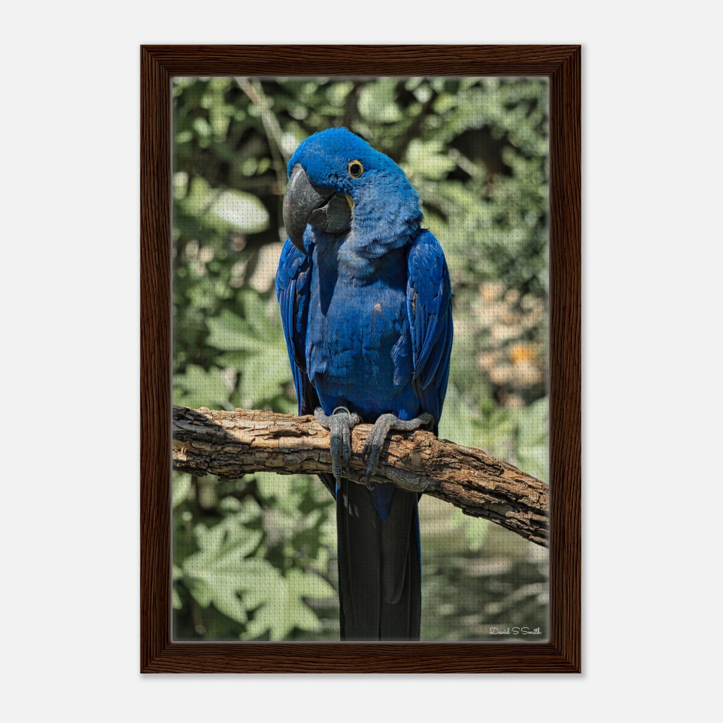 f4af8348-e899-4815-b5f0-3bdf679c8749