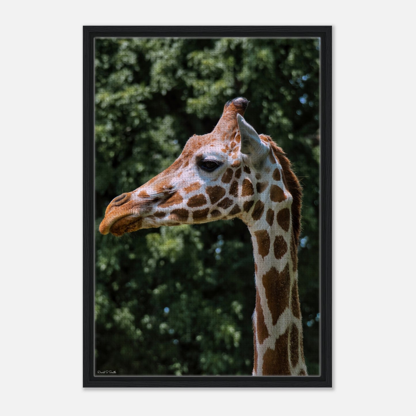 f5788acc-2e90-4e9b-87a7-0d545c744e70