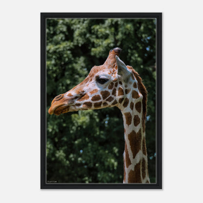 f5788acc-2e90-4e9b-87a7-0d545c744e70