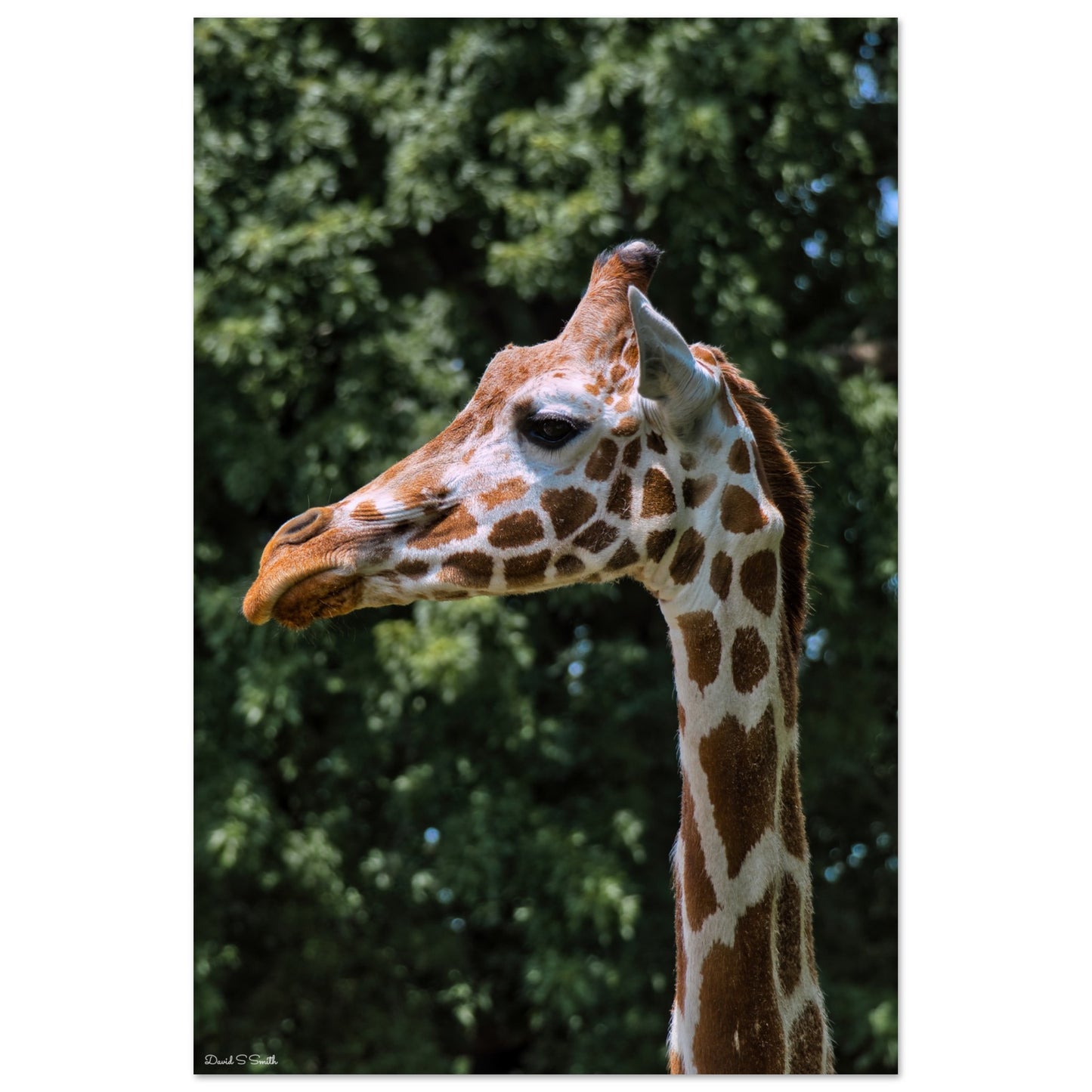 f6238e23-f7ae-4891-8450-f79241cf74e5