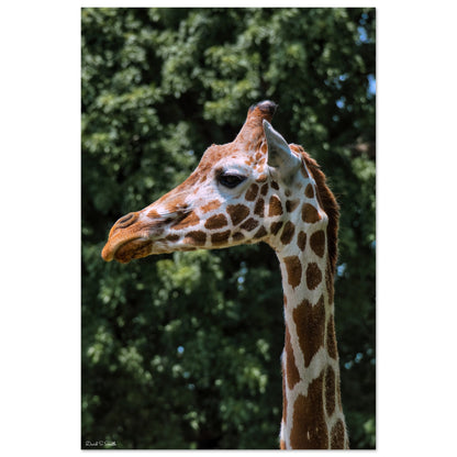 f6238e23-f7ae-4891-8450-f79241cf74e5