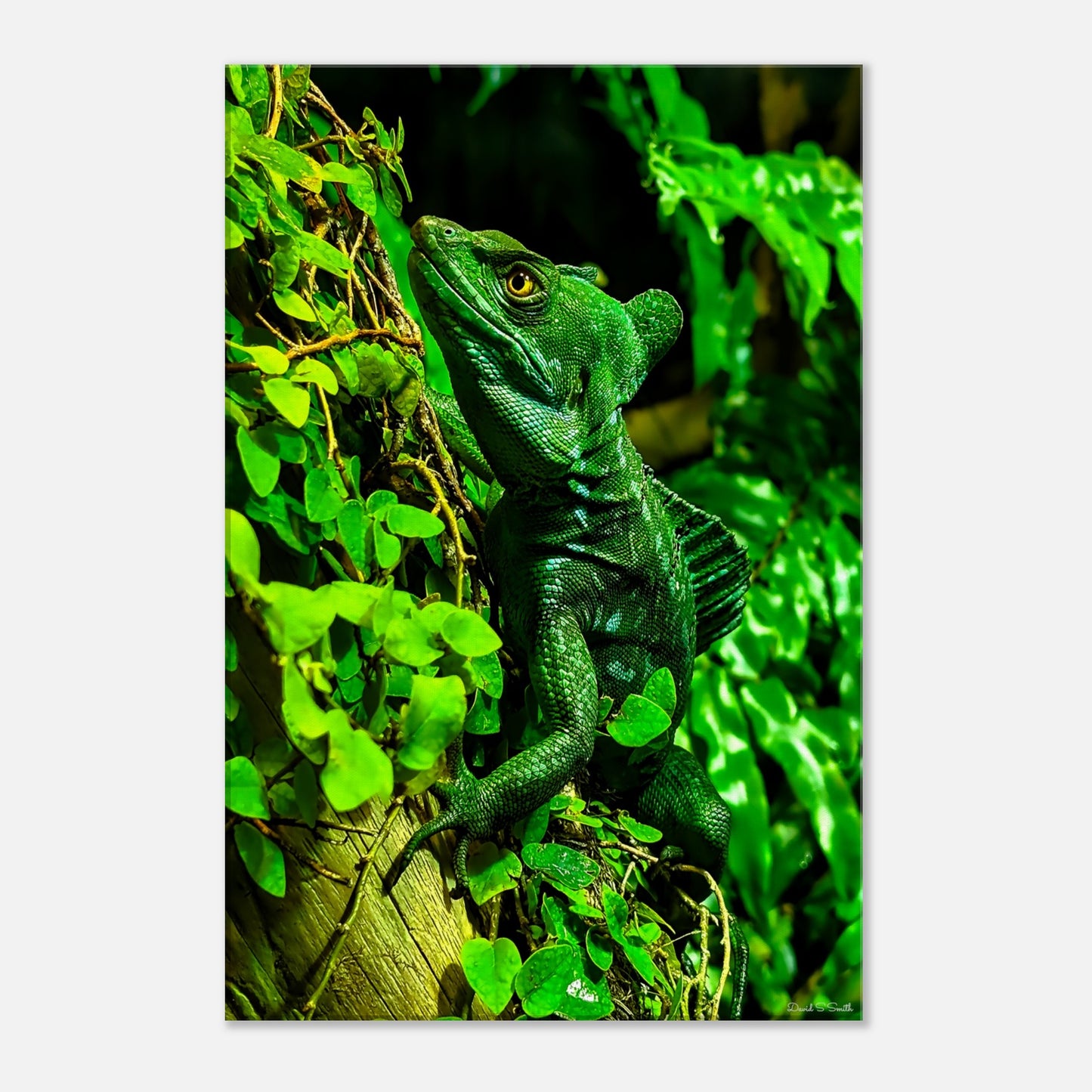 f6b6e366-96f4-4aed-a004-386aee3646f7