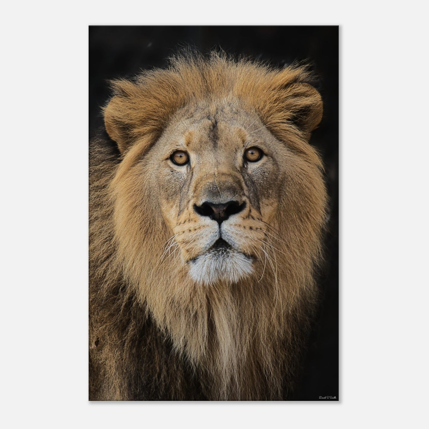 f7e36888-f914-48bf-807c-73941507fe92