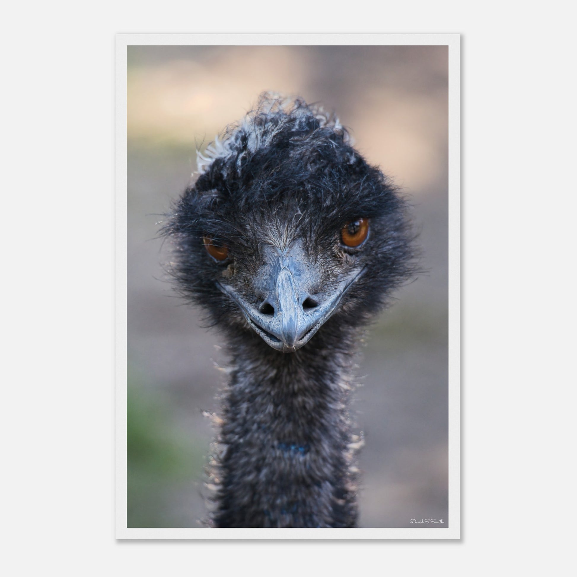 f91f7146-8163-42b7-8d0d-2015a4640a03