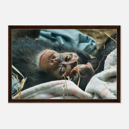 f967b1ee-6175-4e2a-83ff-c87211b54138