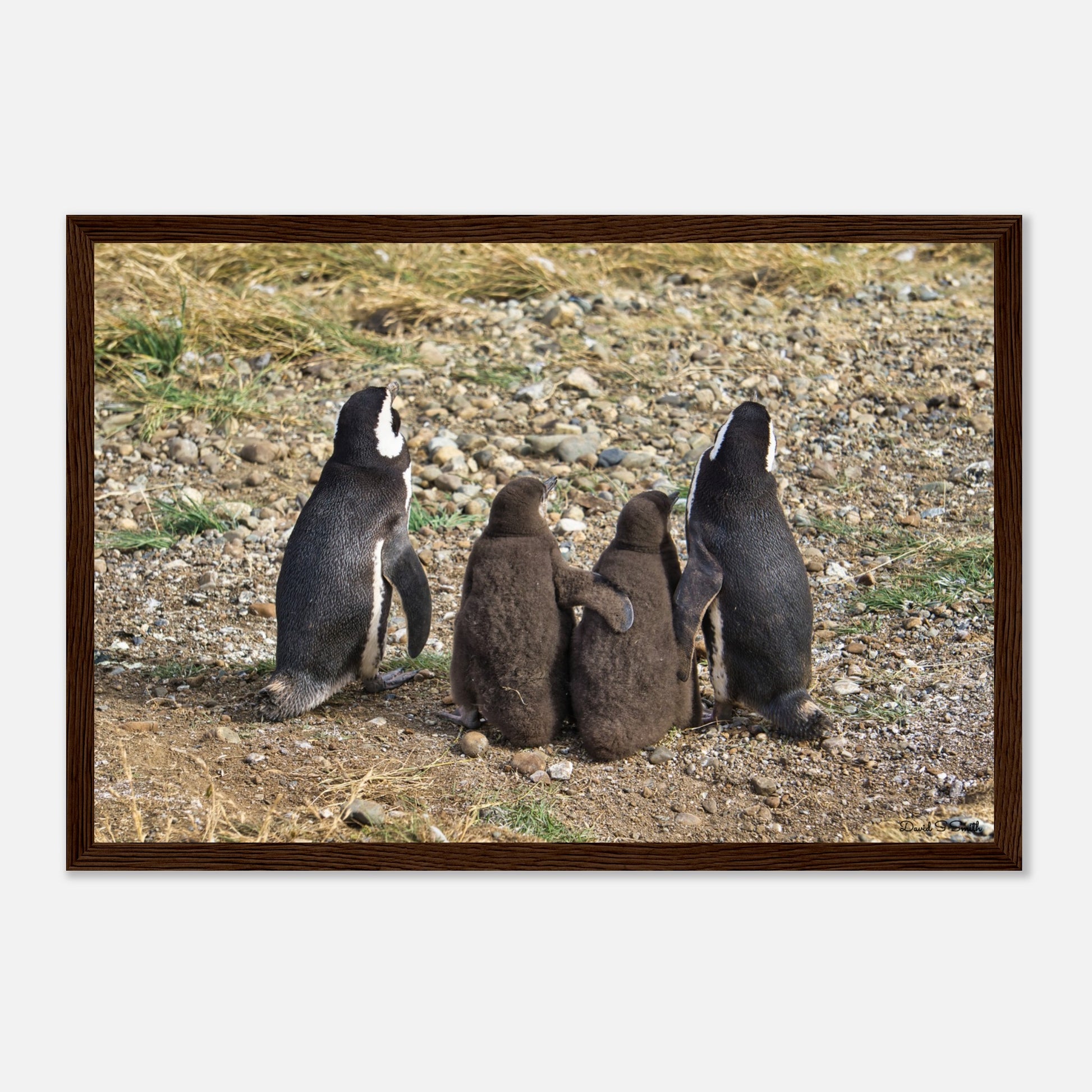 fad628b5-bd31-4424-844c-972f843a943f