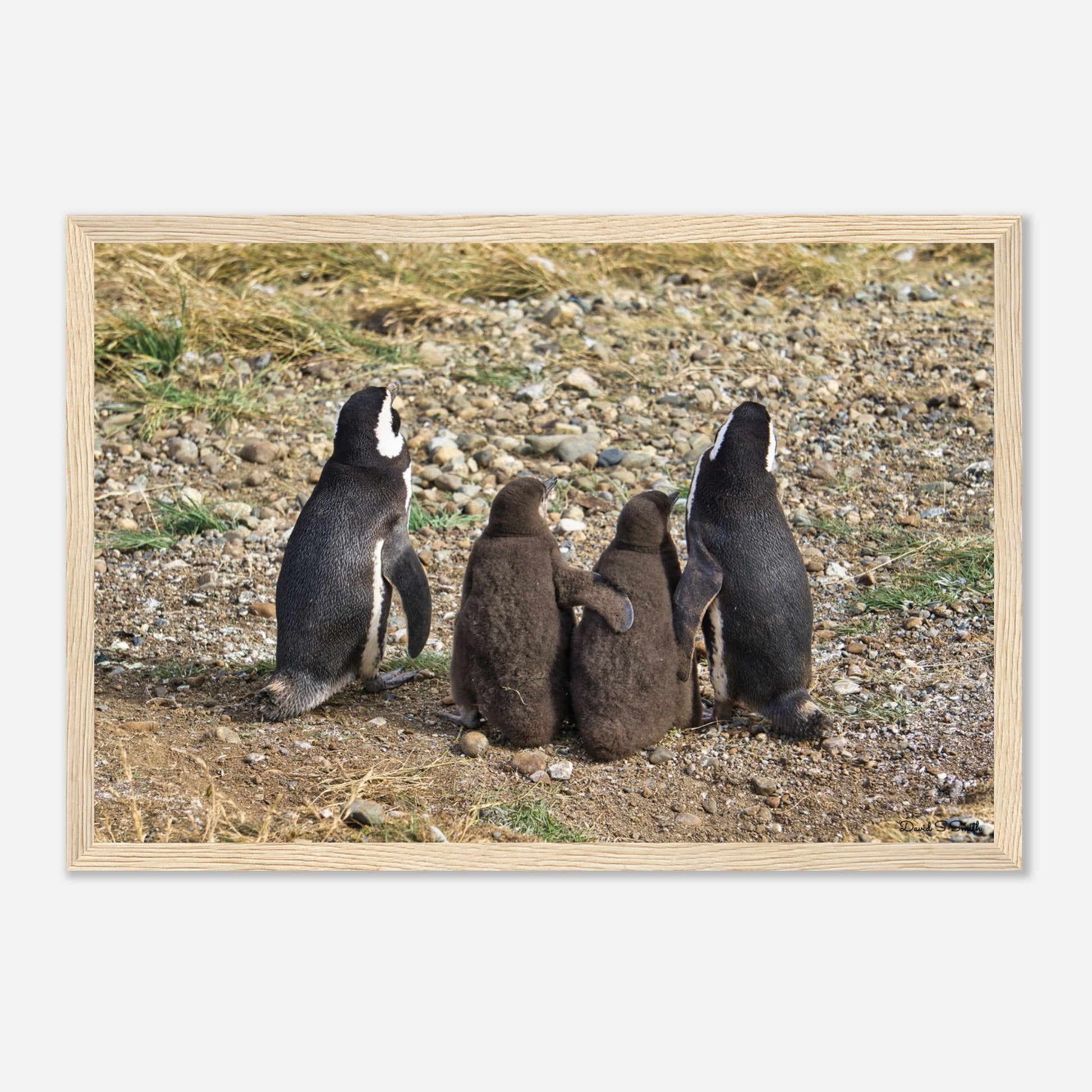 fb95b0cd-3ad2-429b-b309-39756ace29e9