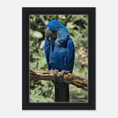 fdd0ef7f-1f01-4c53-832e-ae2f41477586