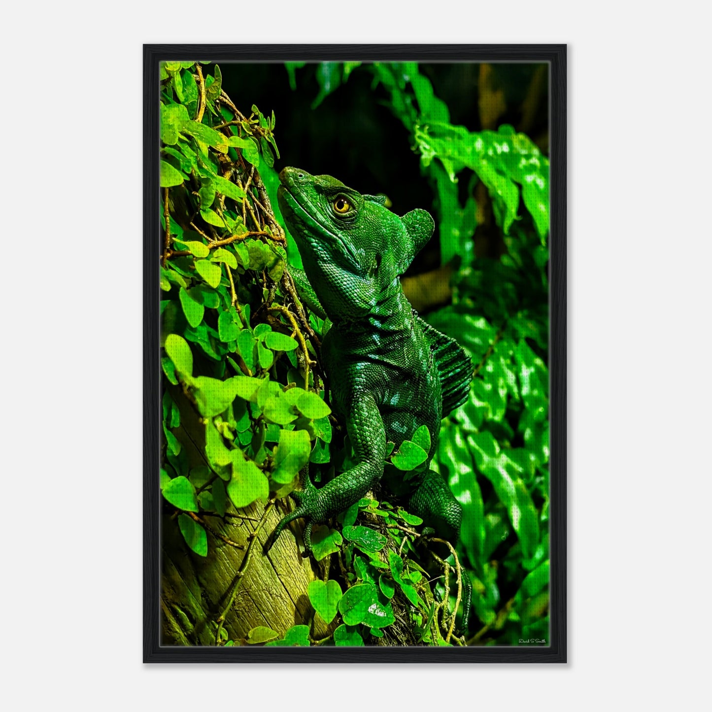 fe90286f-e512-47a3-af61-ee3a145be613