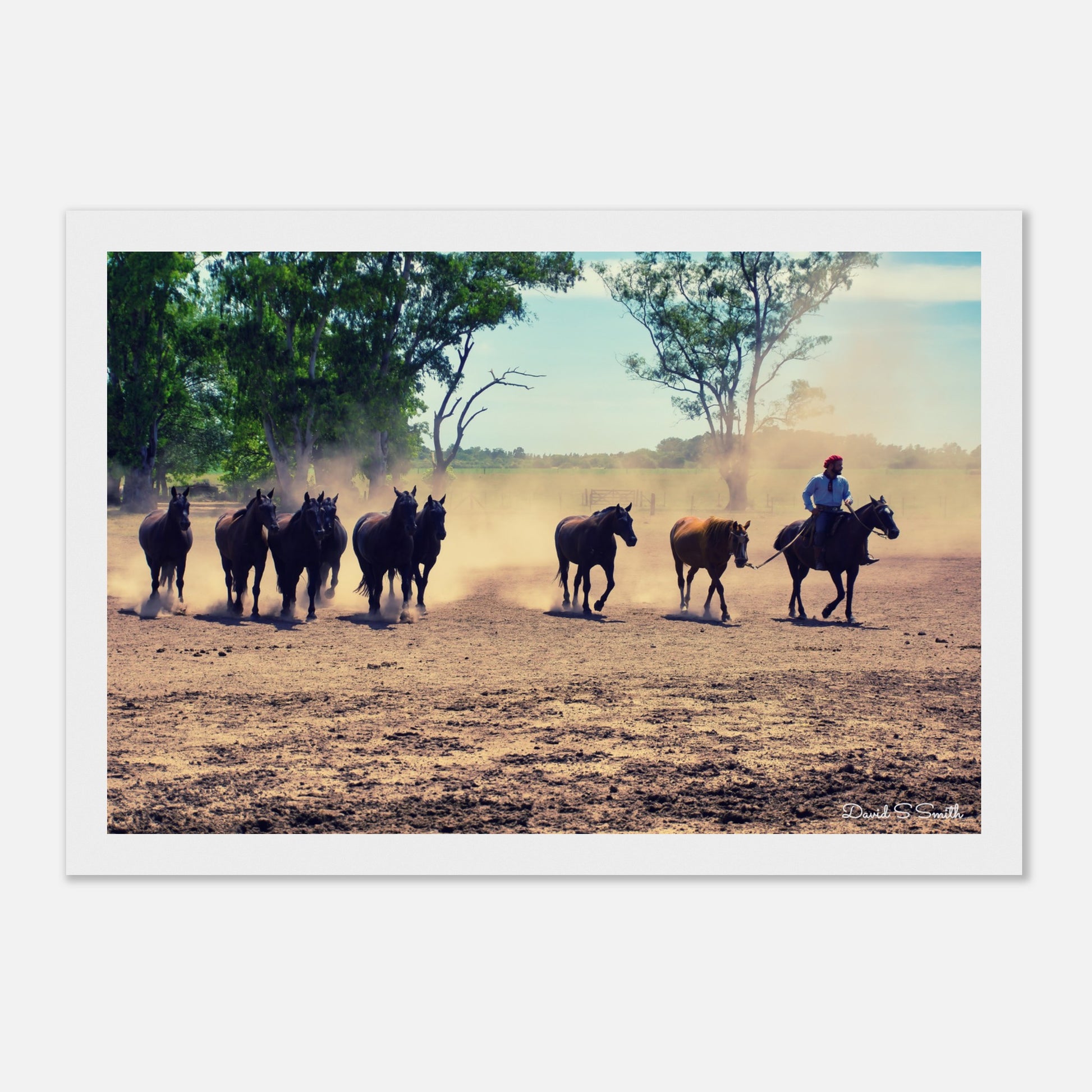 febf09c7-4977-455f-a7de-038d06d94e35