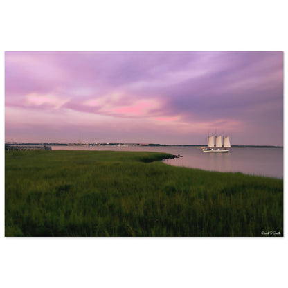 ffbc3868-baa1-41c5-973a-505f78520dc1