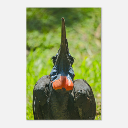 ffd76f2b-b28b-4fa2-bdce-fc52efb9c967